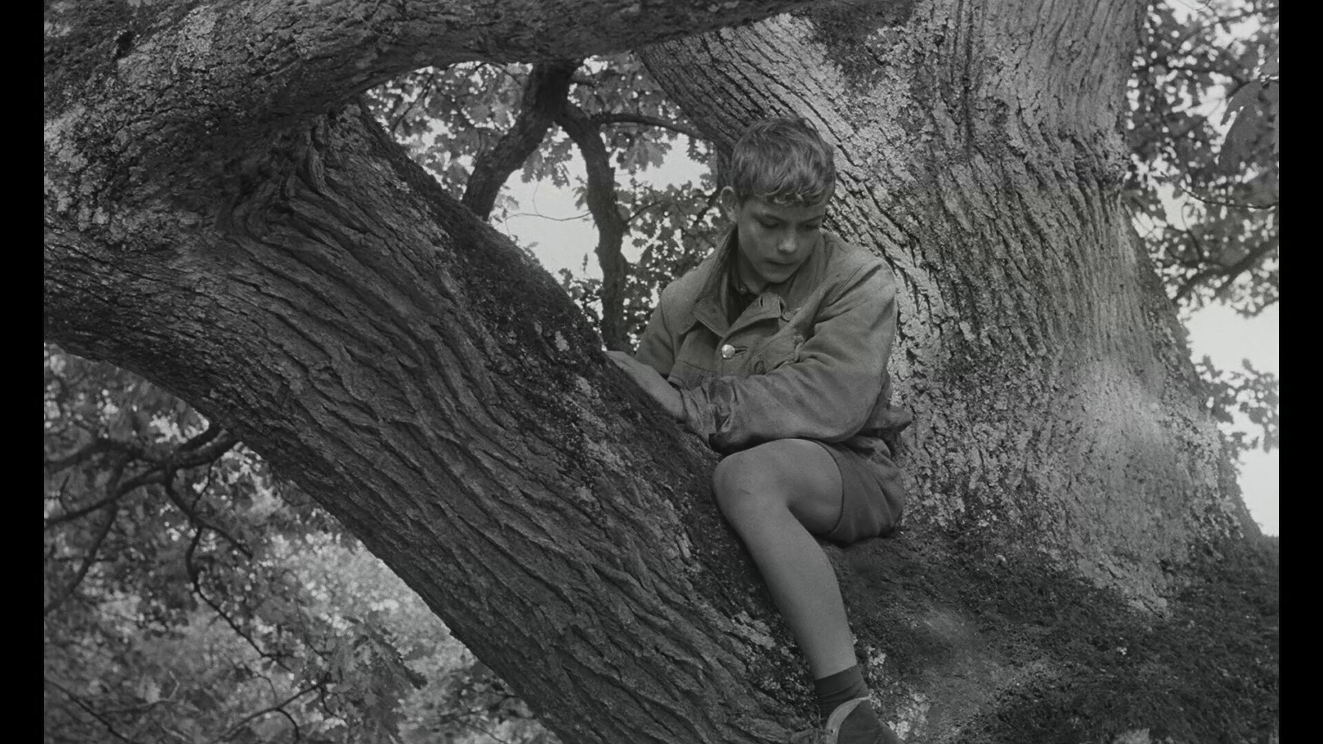 Guerre des boutons Andre Treton 13