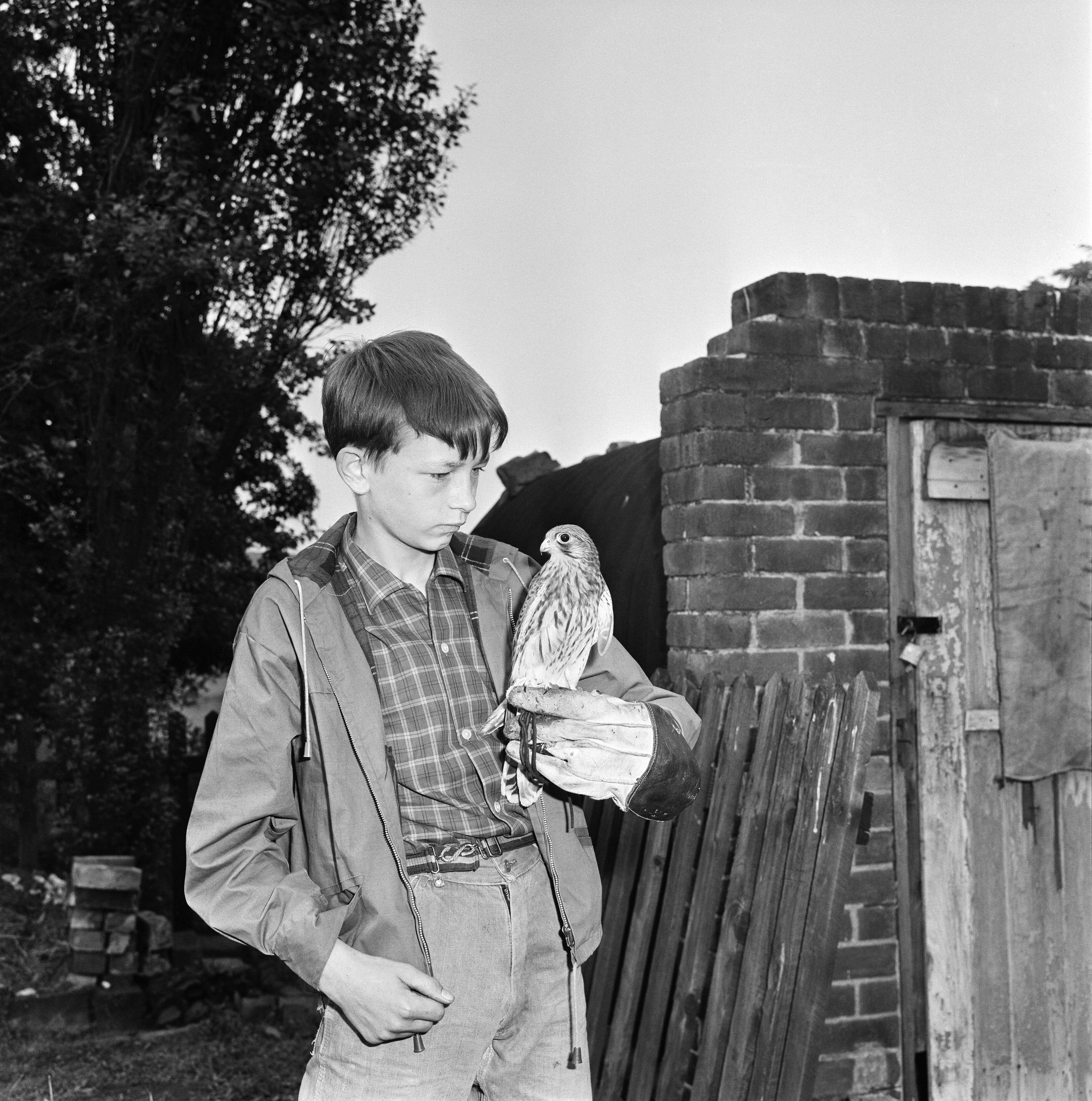 David Bradley on the set of the film Kes Picture taken 15th July 1968