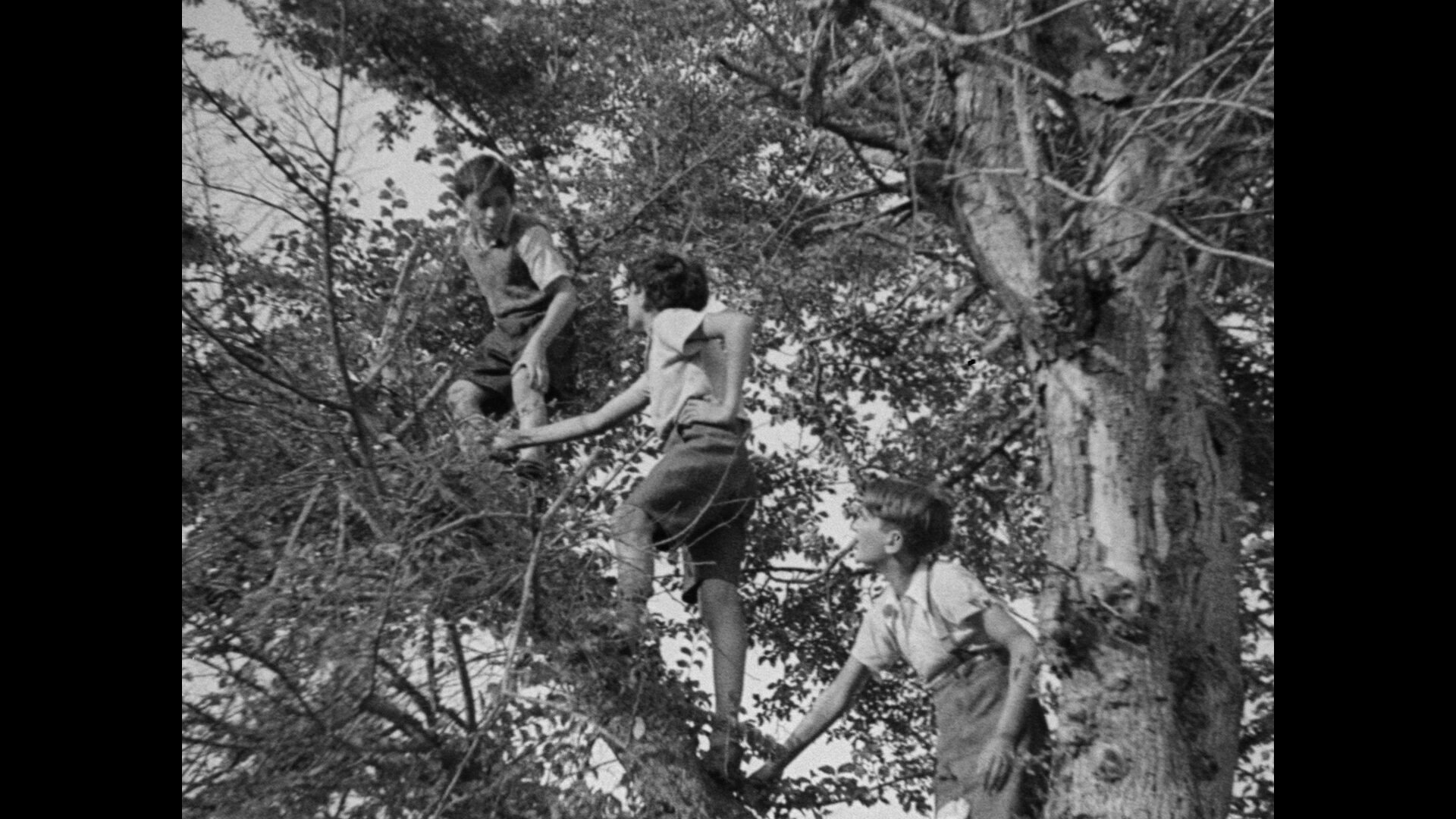 La guerre des gosses 12