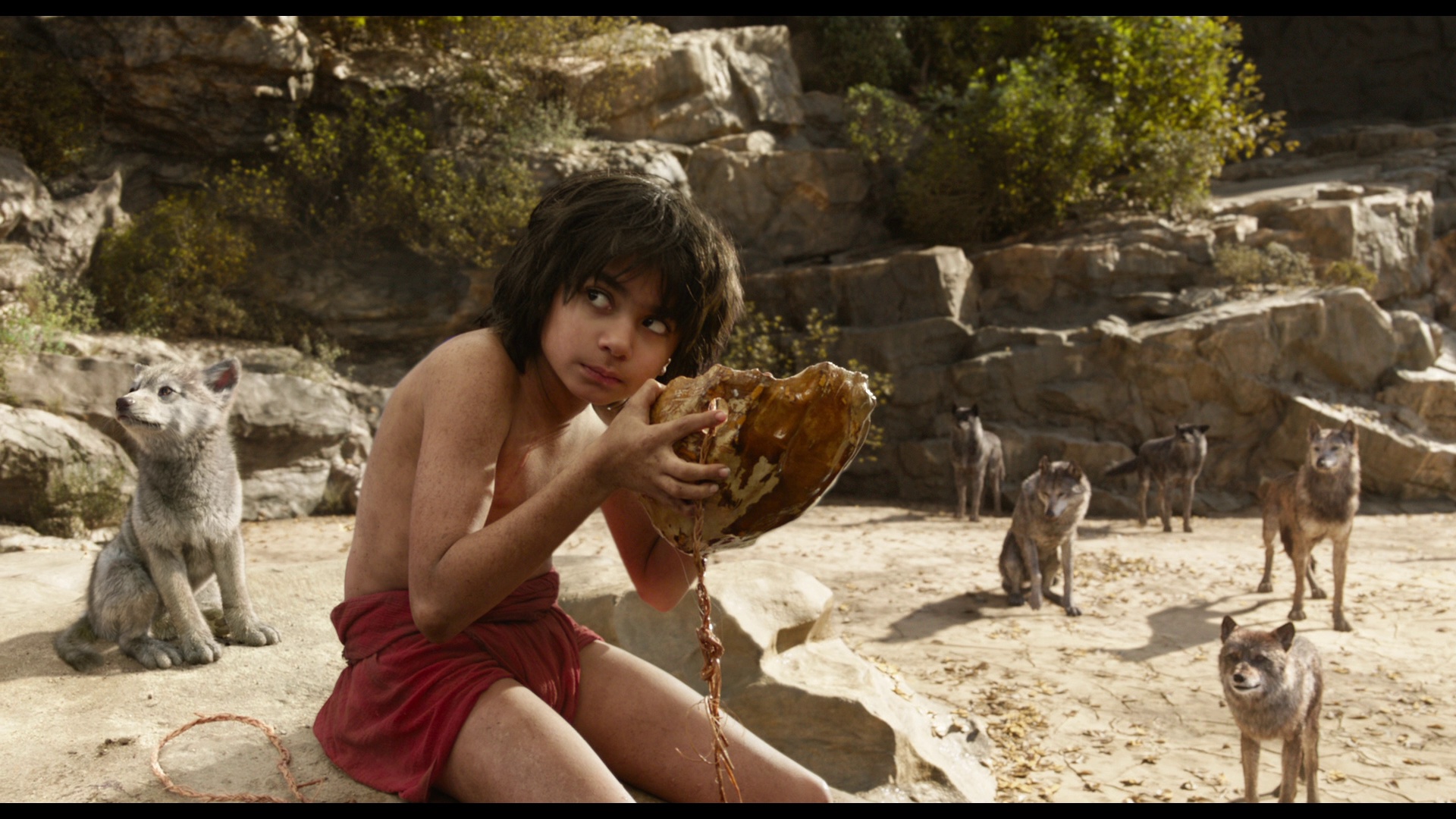 JungleBook 01