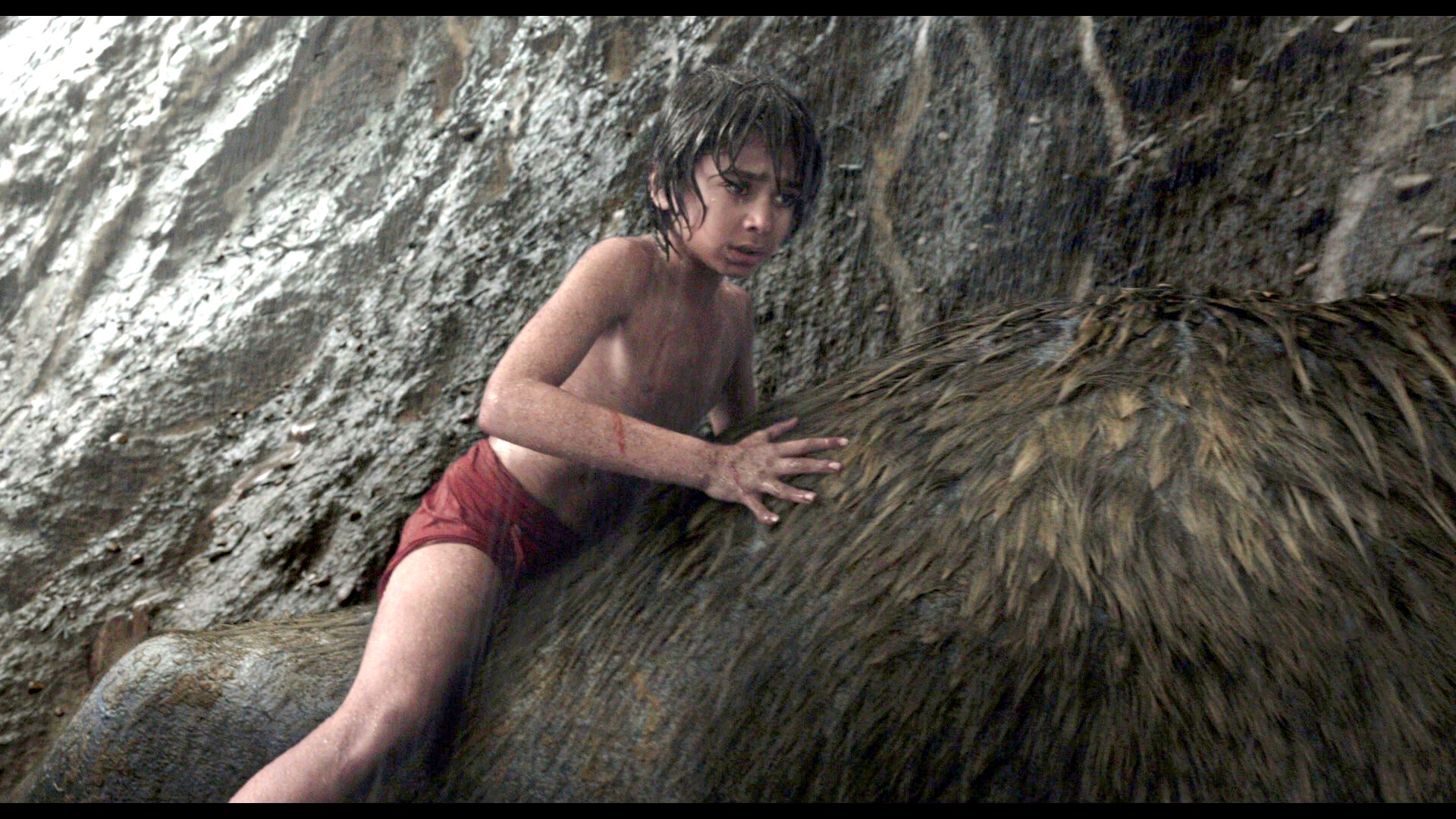 JungleBook 03 enh
