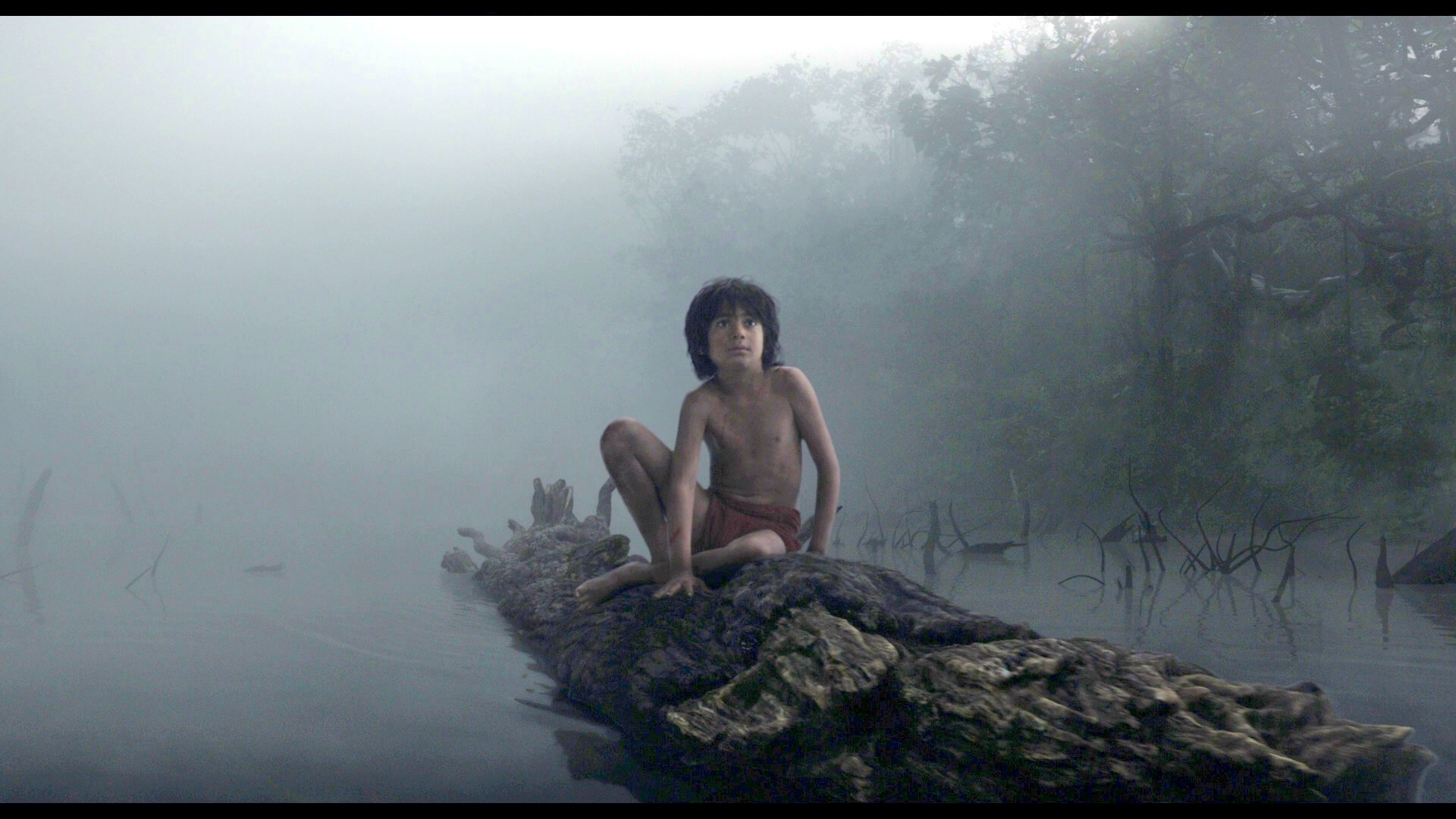 JungleBook 04 enh