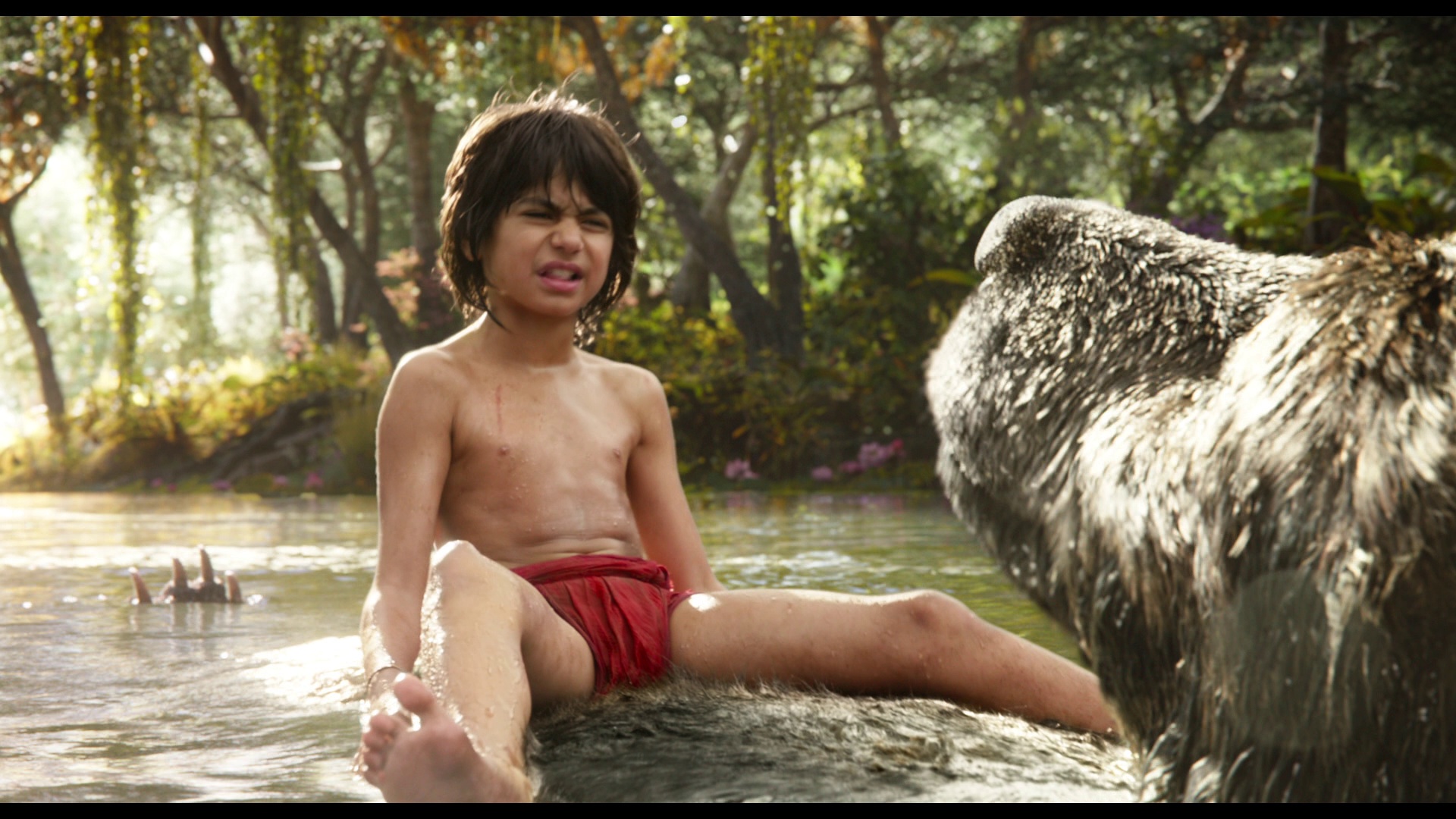 JungleBook 05