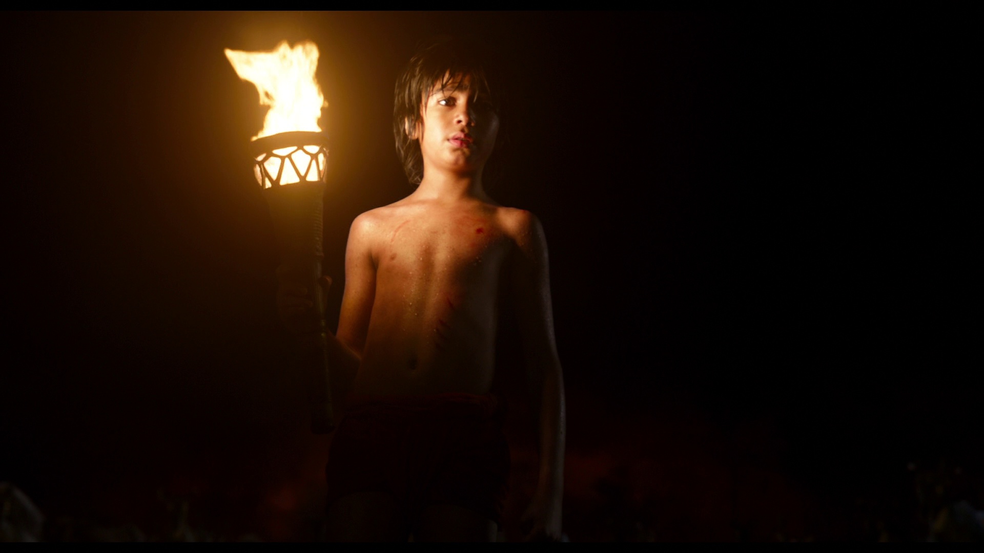 JungleBook 10