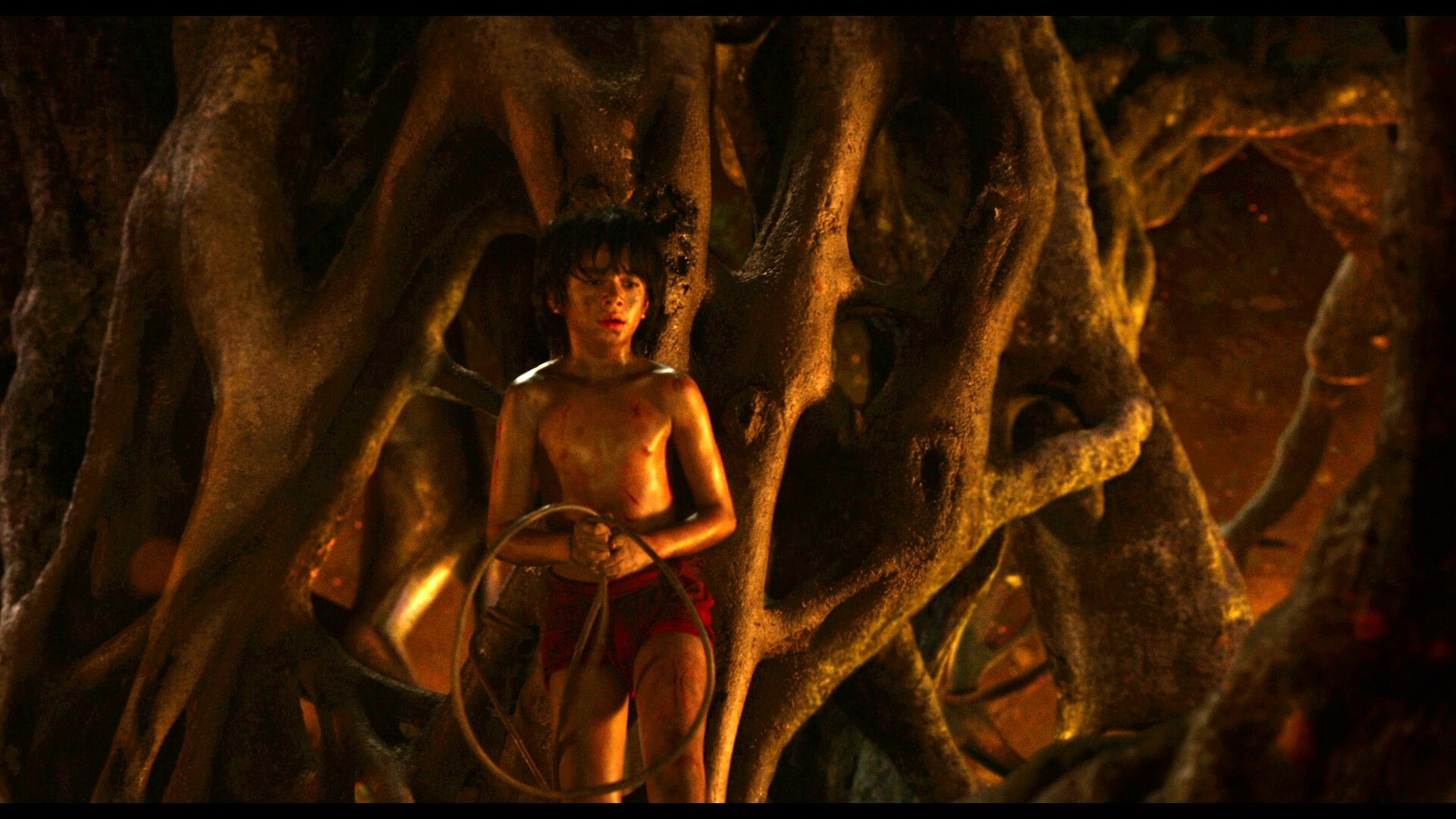 JungleBook 12 enh