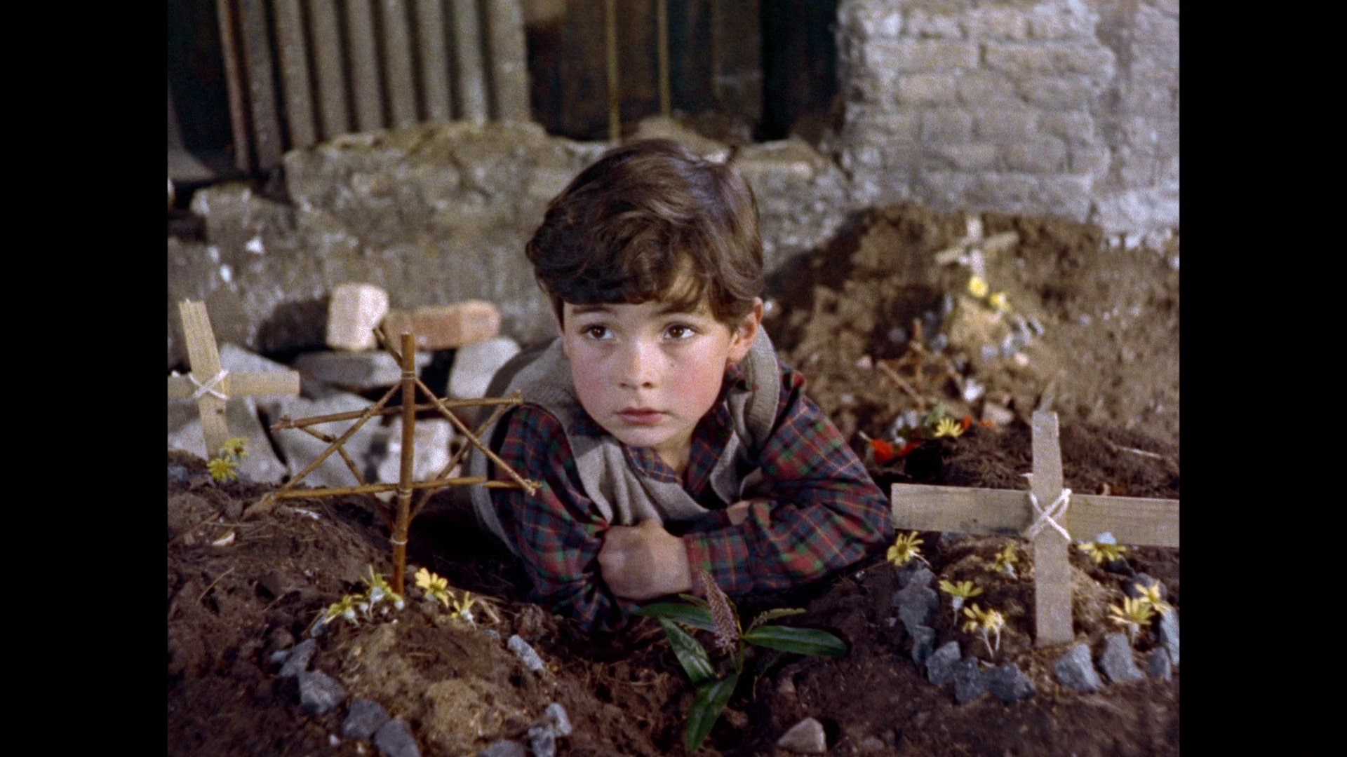 A Kid for Two Farthings 7