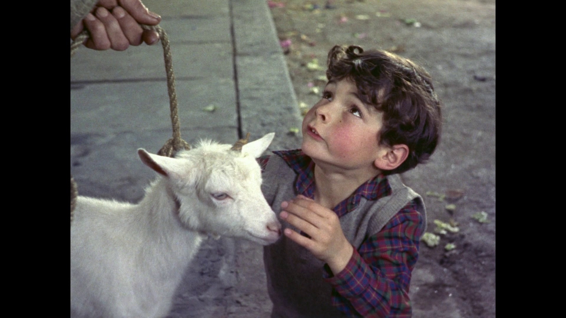 A Kid for Two Farthings 9