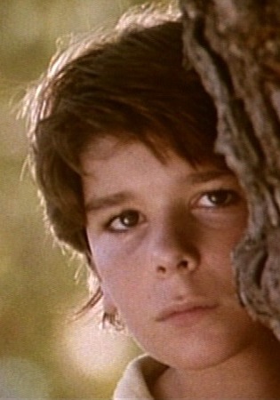 Davy banner