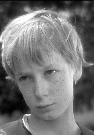 Davy banner