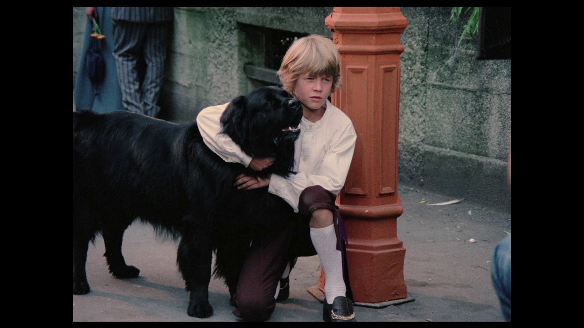 Hang On Doggy 11