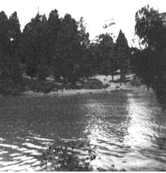 Search for Nirvana. Nuwara Eliya Ceylon