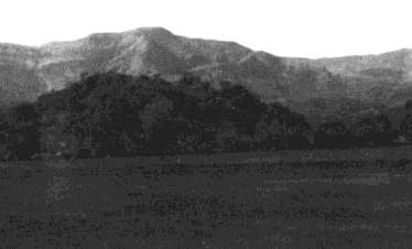 Search for Nirvana. Up country Ceylon