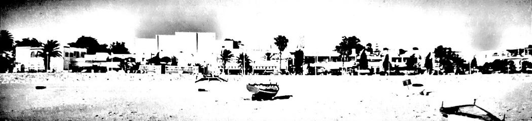 Koinos 05 25 by G. J. Bolkensteijn